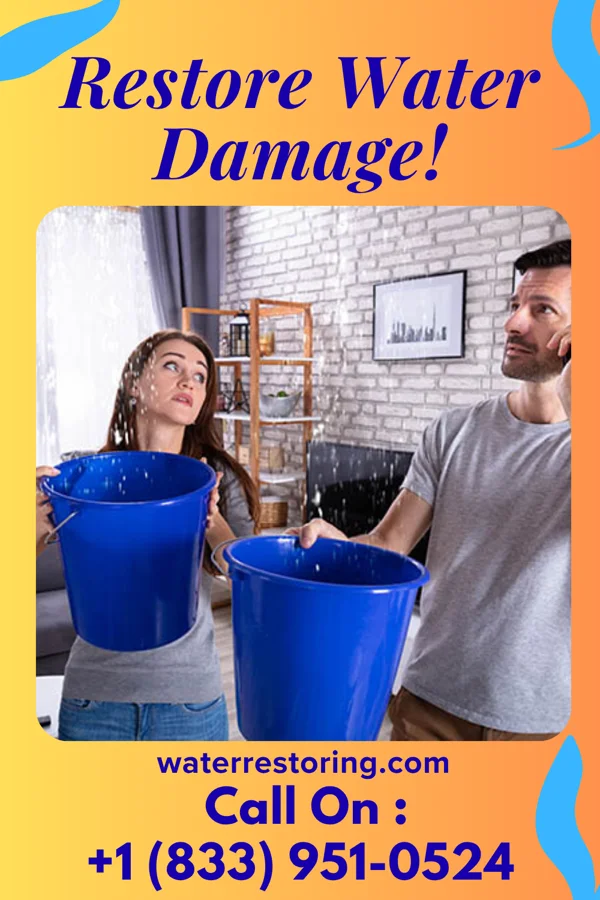water restoration Patriot Flood Damage Partners Lake Placid